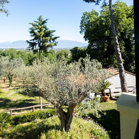 Сasa de vacaciones Casa Capozzoli Albanella