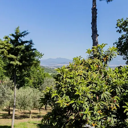 Casa Capozzoli Сasa de vacaciones Albanella