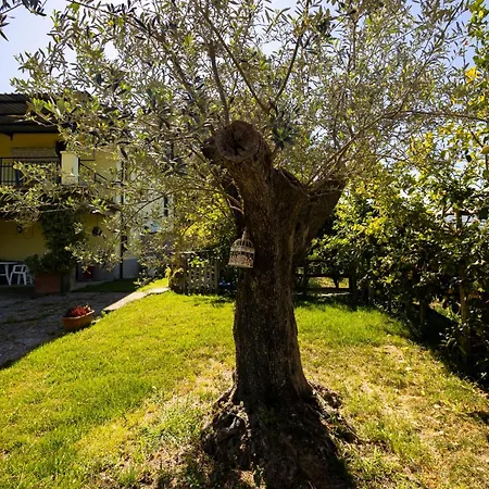 Casa Capozzoli Albanella